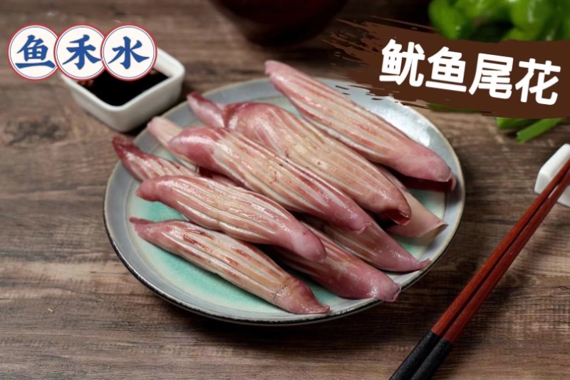 鱿鱼全系列