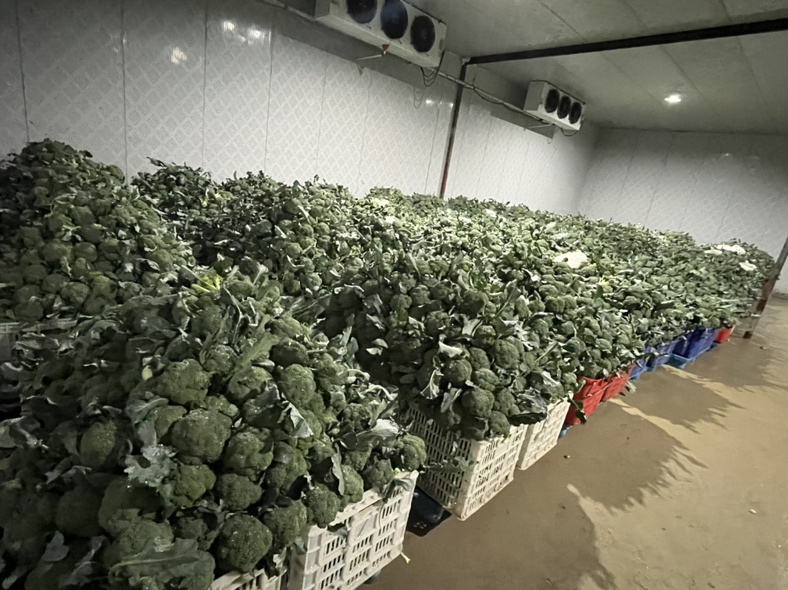 菜花保鲜方法示意图