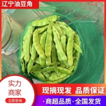 精品油豆，一手货源，品质保证，供应市场商超