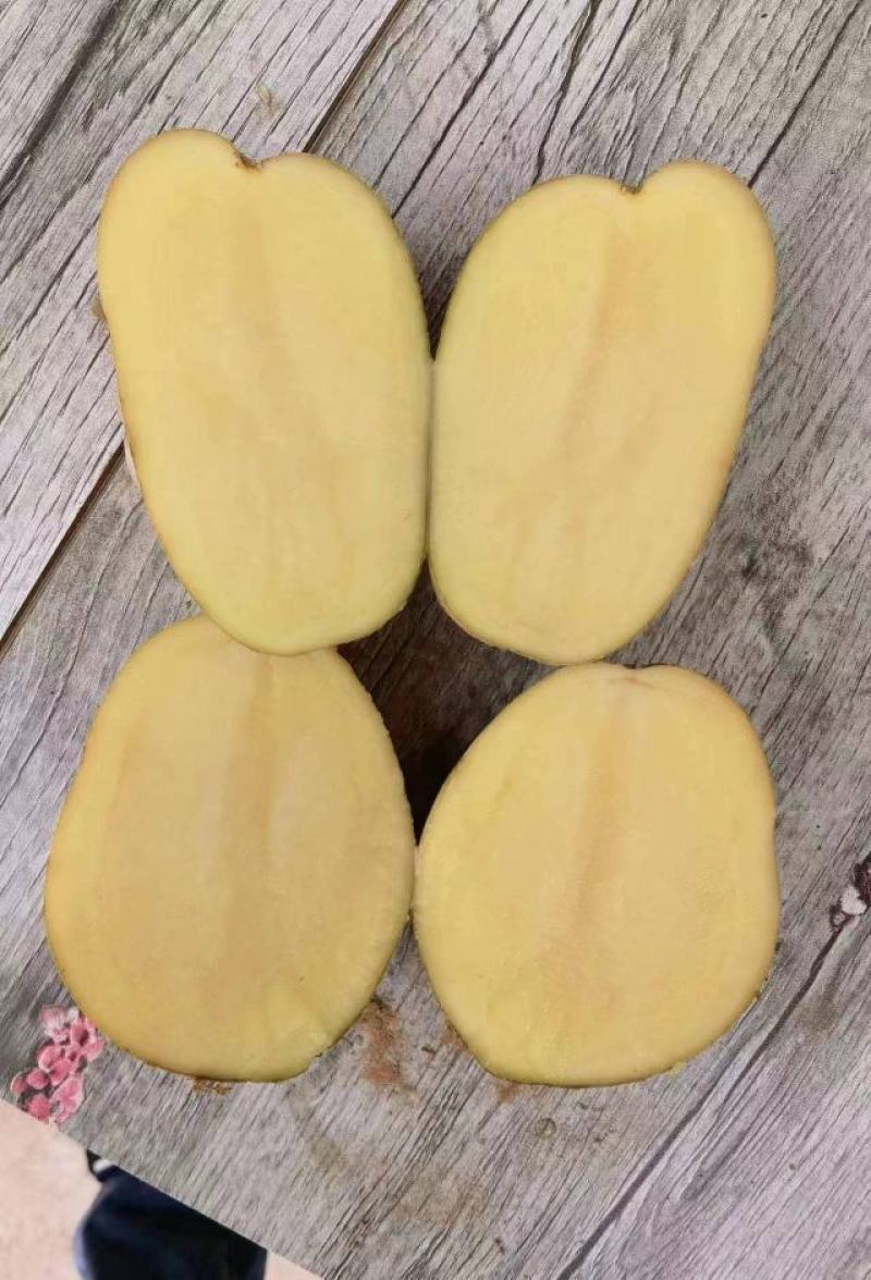 黄皮黄心土豆