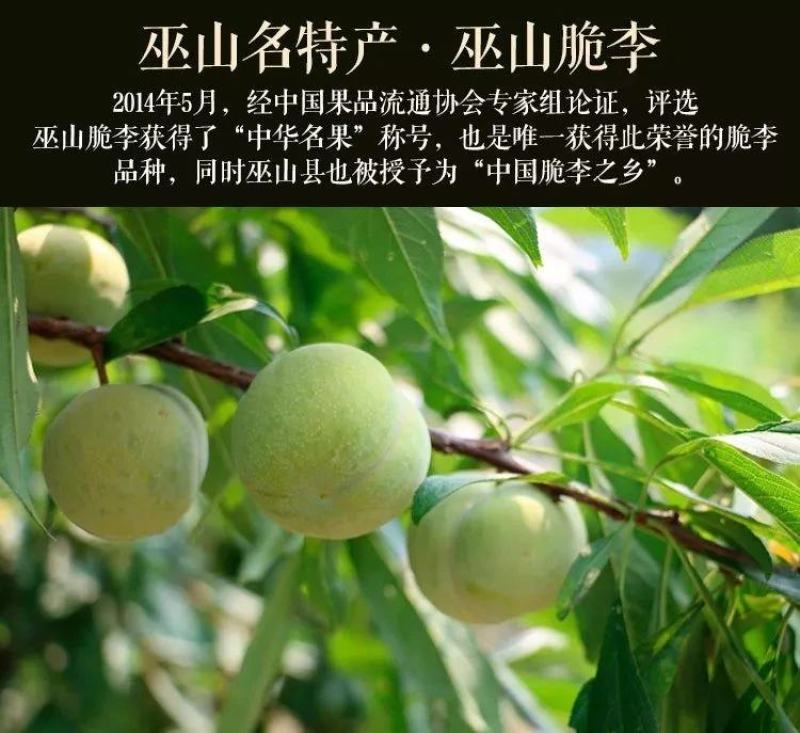 重庆巫山脆李曲尺李子脱骨李