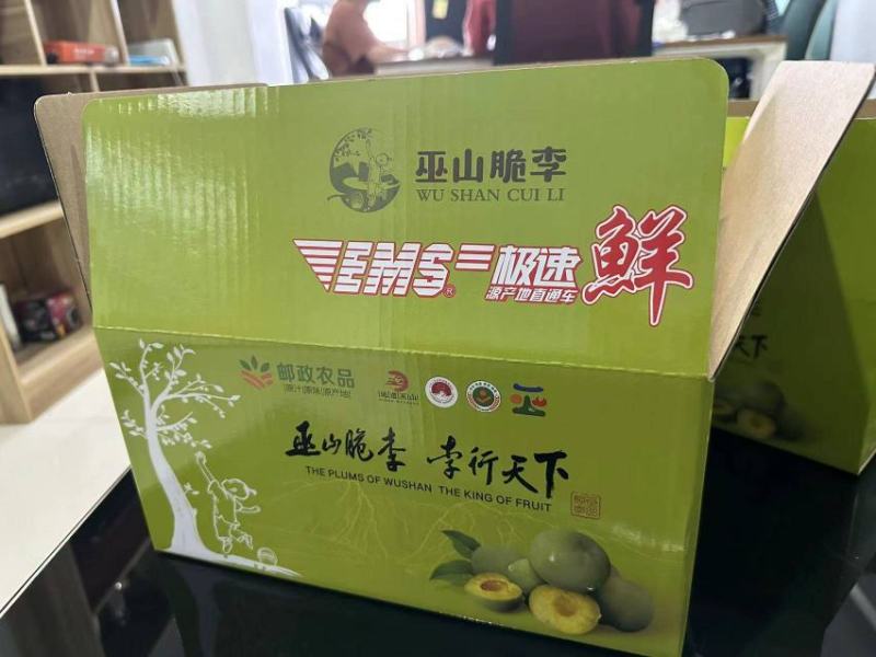 重庆巫山脆李曲尺李子脱骨李