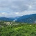 重庆巫山脆李曲尺李子脱骨李