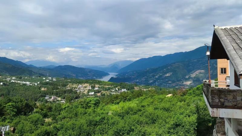 重庆巫山脆李曲尺李子脱骨李