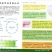 猪浓缩预混料教槽料