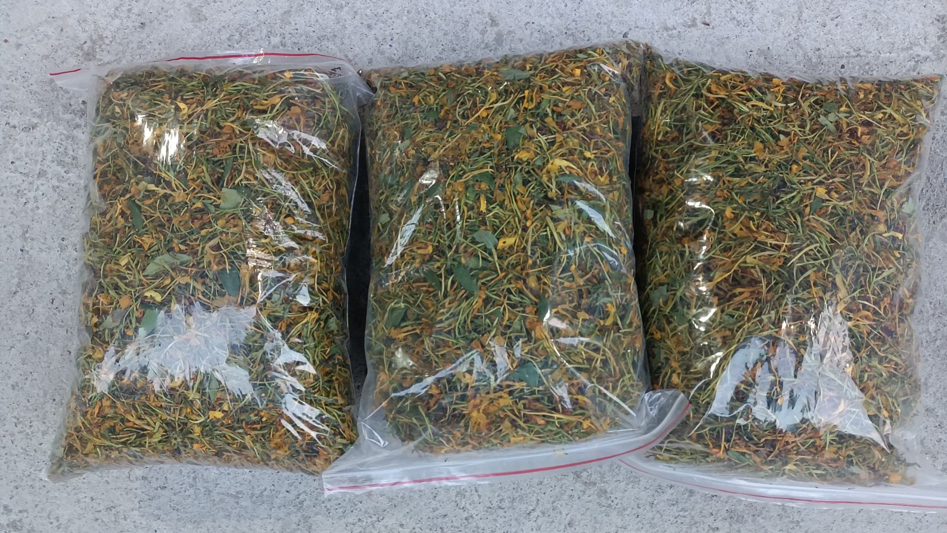 展示密枣与菊花、金银花等凉性食材搭配泡茶的健康食用方式 密枣搭配茶饮示意图