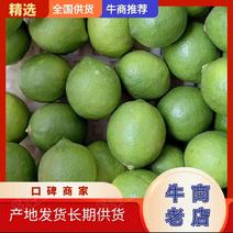 北京青柠檬量大从优产地发货欢迎全国老板前来考察