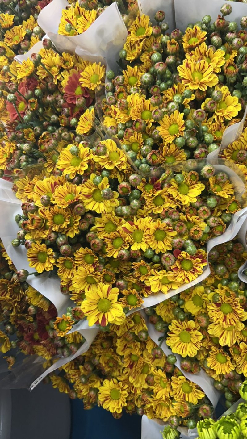 基地每天都有大量新鲜货源
