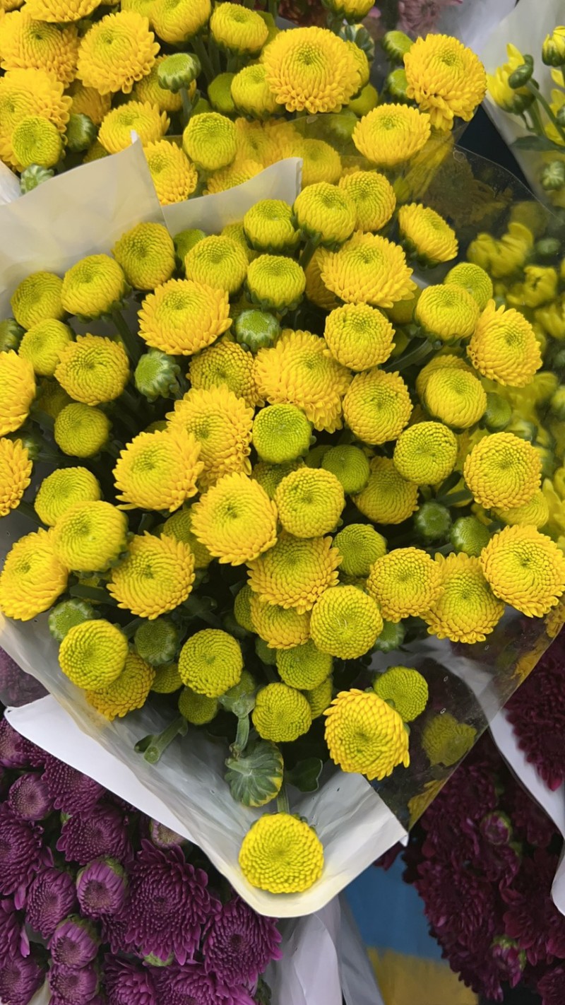 基地每天都有大量新鲜货源
