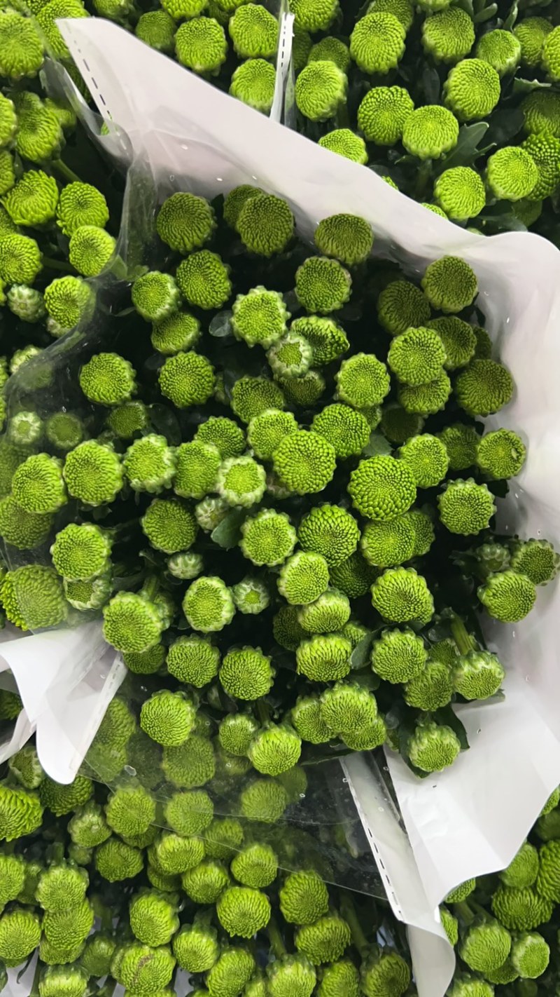 基地每天都有大量新鲜货源