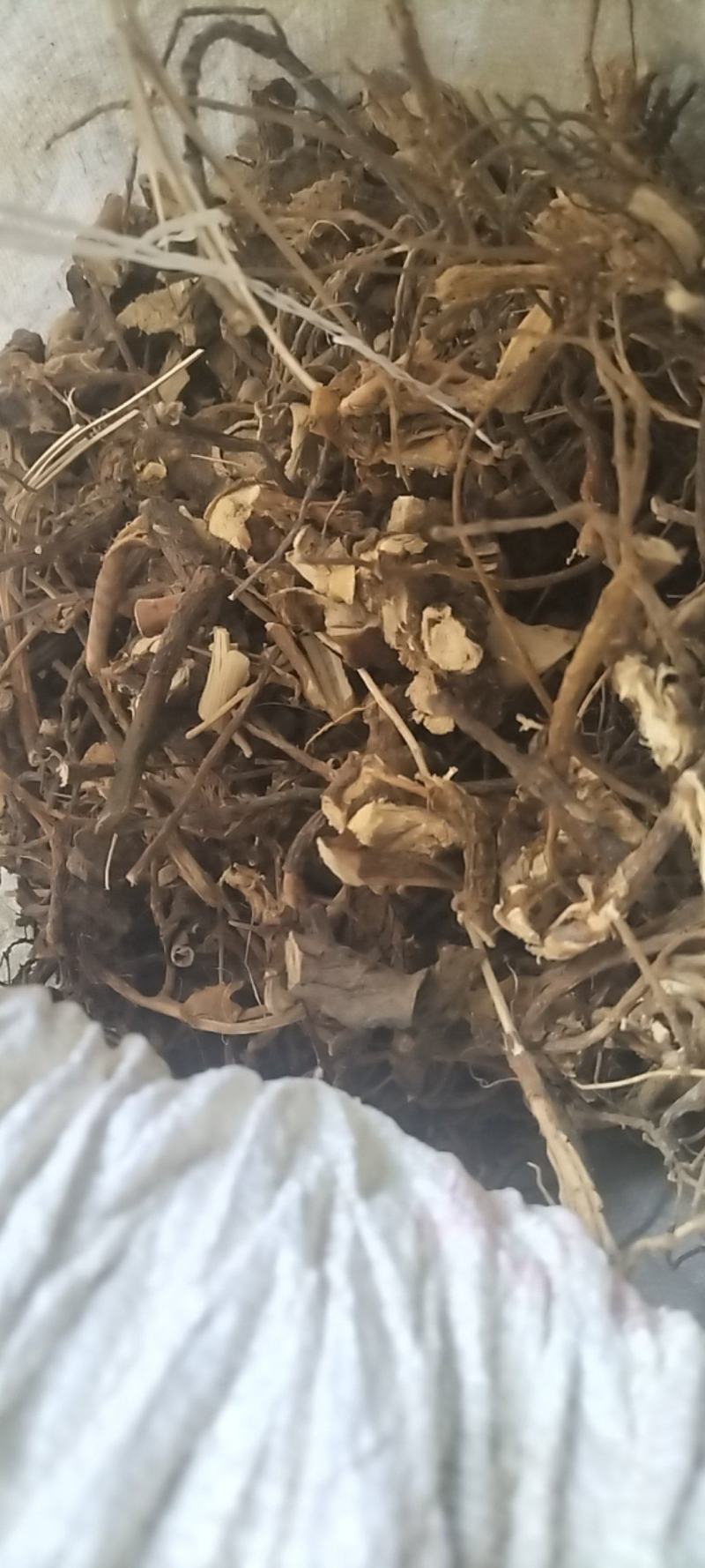 苦参野生苦参干货