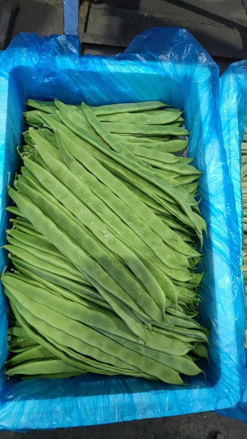 山西应县扁芸豆，扁豆角，扁玉龙，大量上市