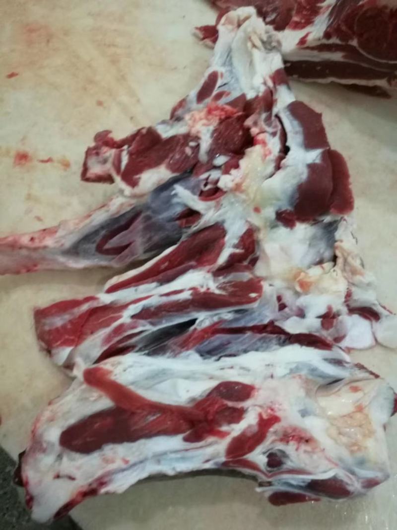益和源国产牛腱子精修无油厂家直销批发欢迎选购