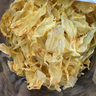 55-60头北海公花胶干花胶物美价廉在线接单欢迎联