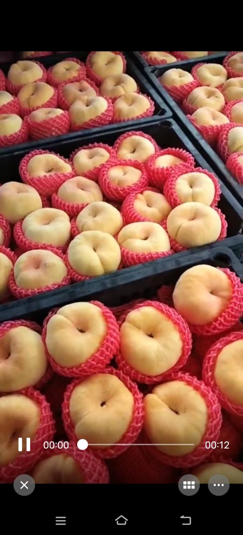 黄锦绣，蒙阴蜜桃黄桃精品