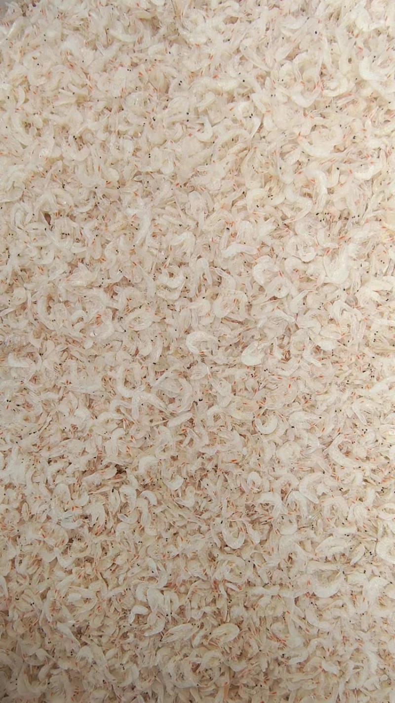各种海产水货