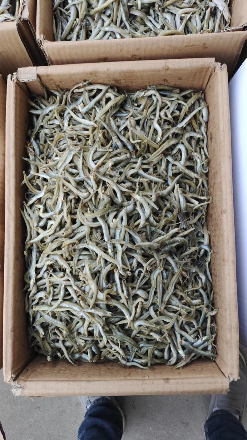 各种海产水货