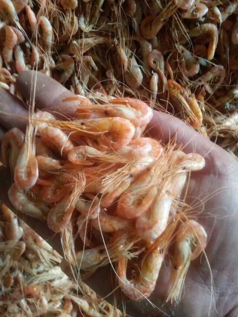 各种海产水货