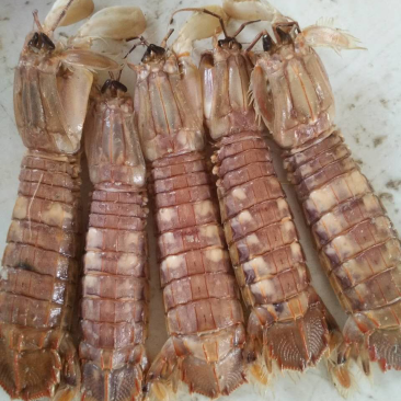 各种海产水货