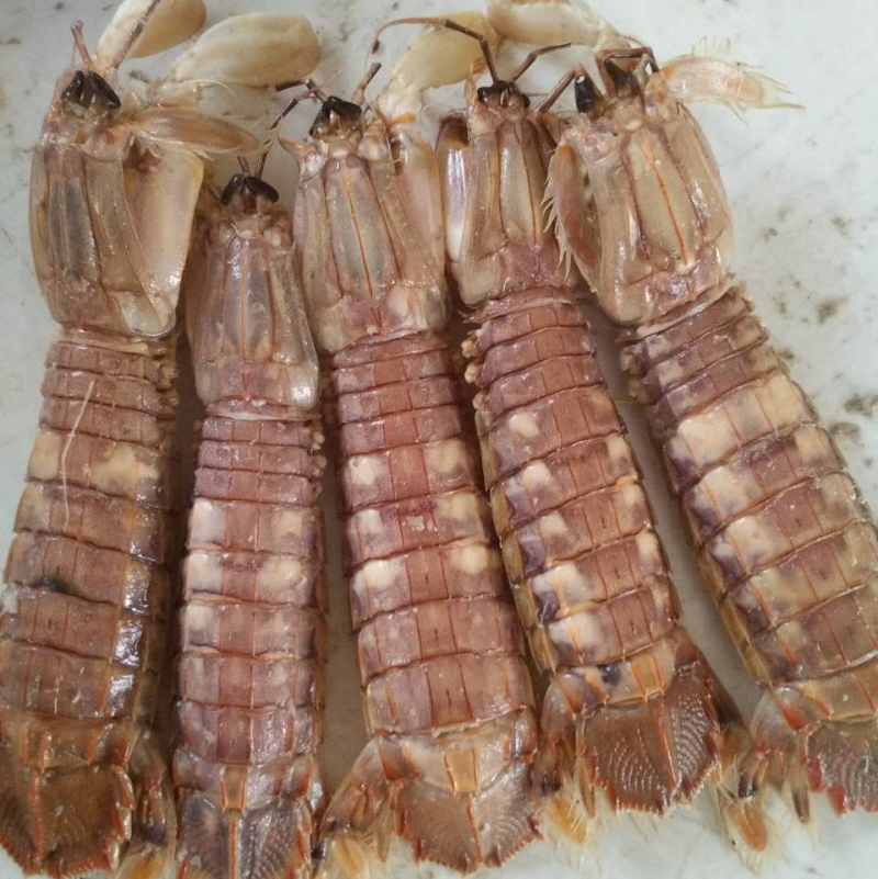 各种海产水货
