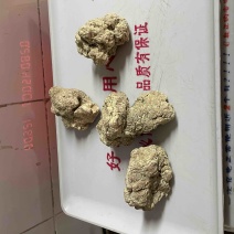 虎乳个规格齐全量大从优一手货源欢迎联系在线接单