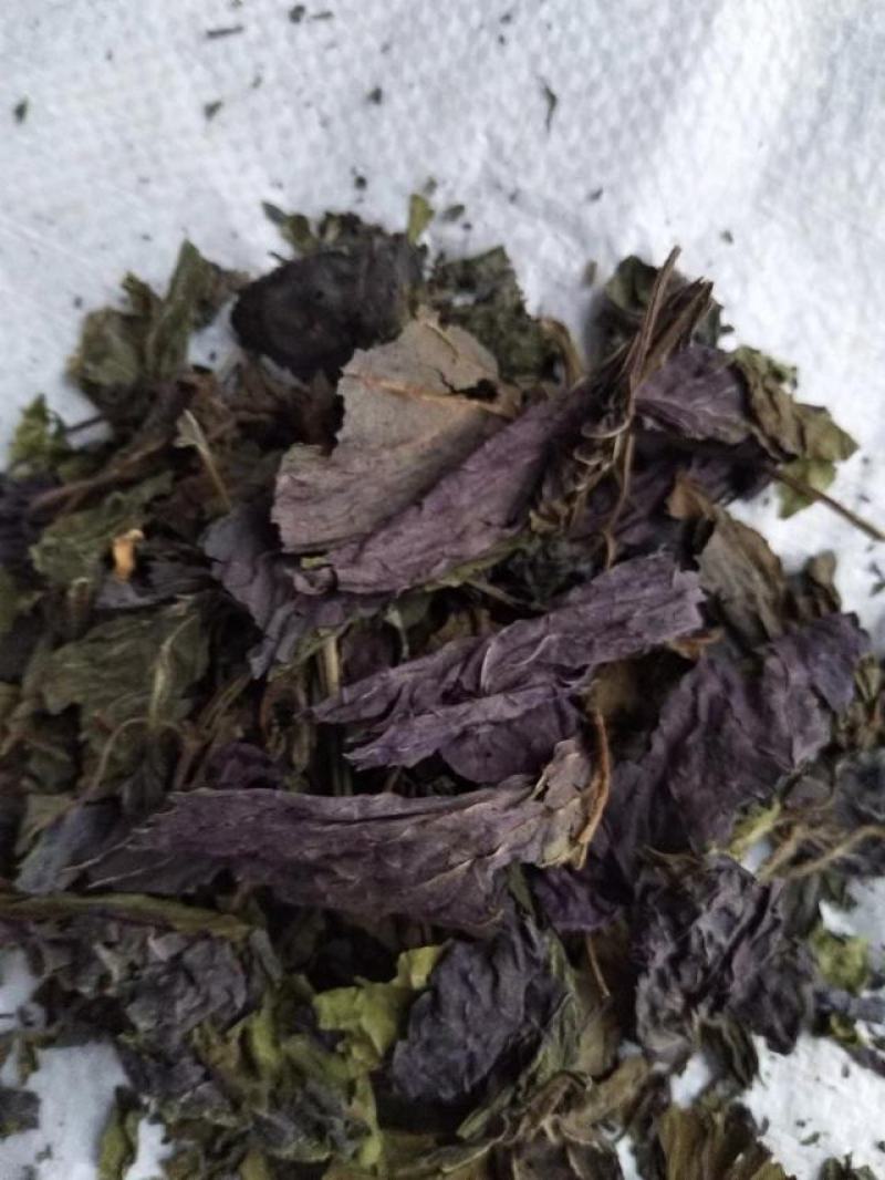 紫苏叶，新货无杆，道地药材，质量保证，支持在线下单