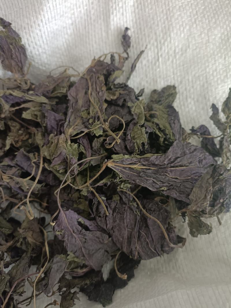 紫苏叶，新货无杆，道地药材，质量保证，支持在线下单