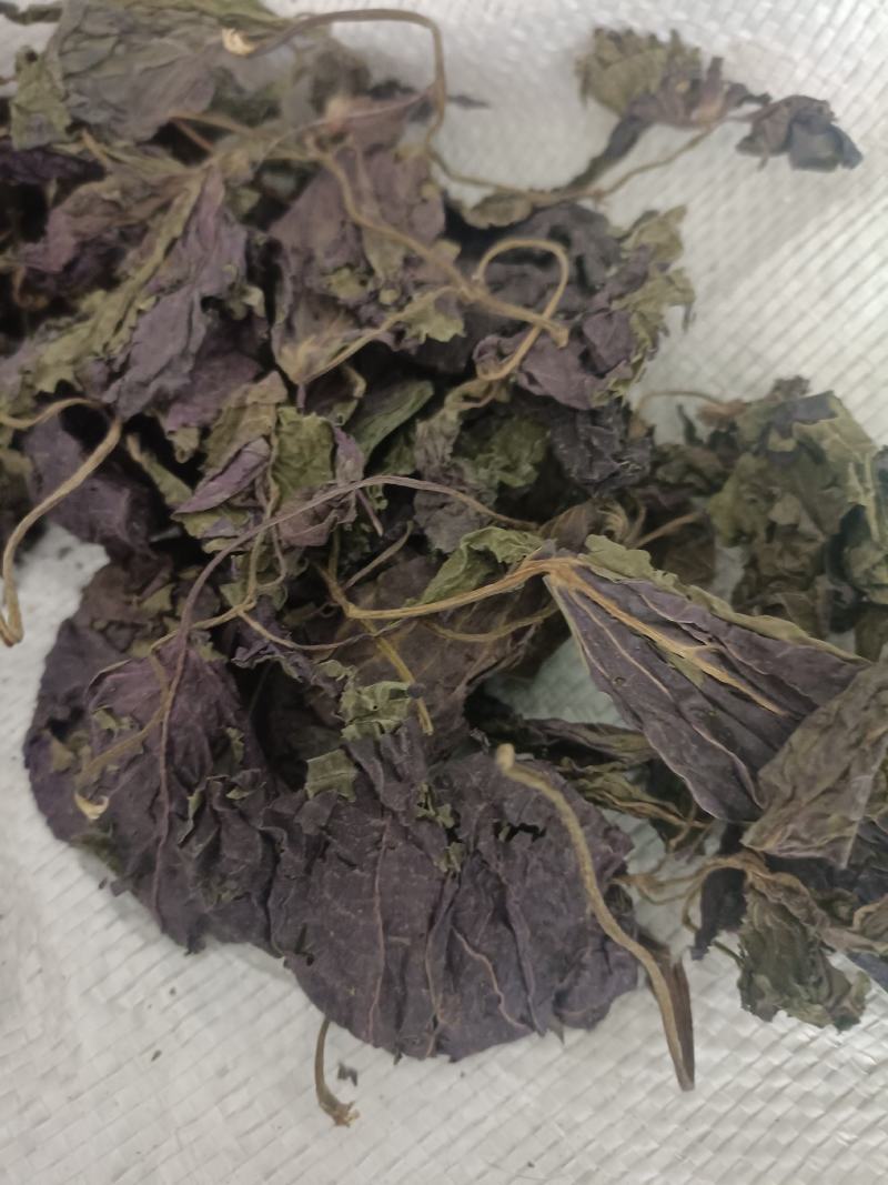 紫苏叶，新货无杆，道地药材，质量保证，支持在线下单
