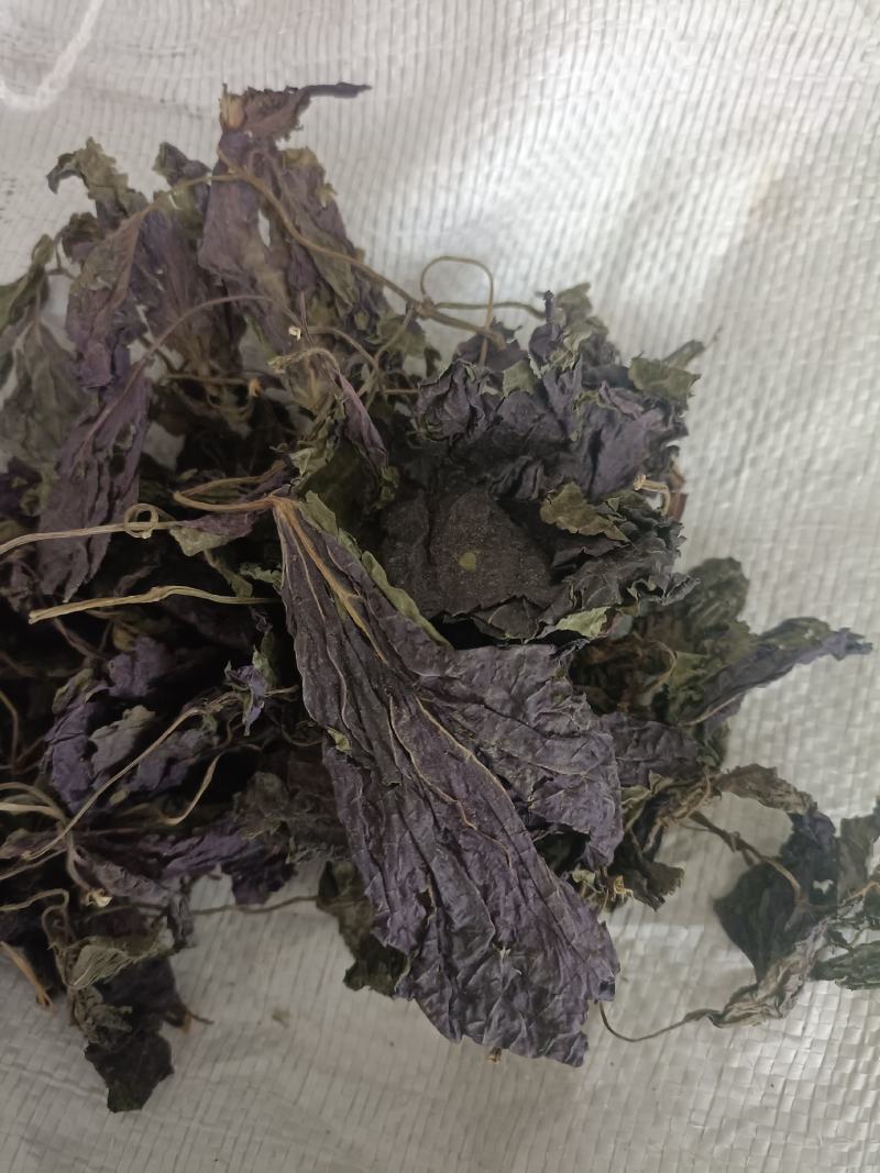 紫苏叶，新货无杆，道地药材，质量保证，支持在线下单