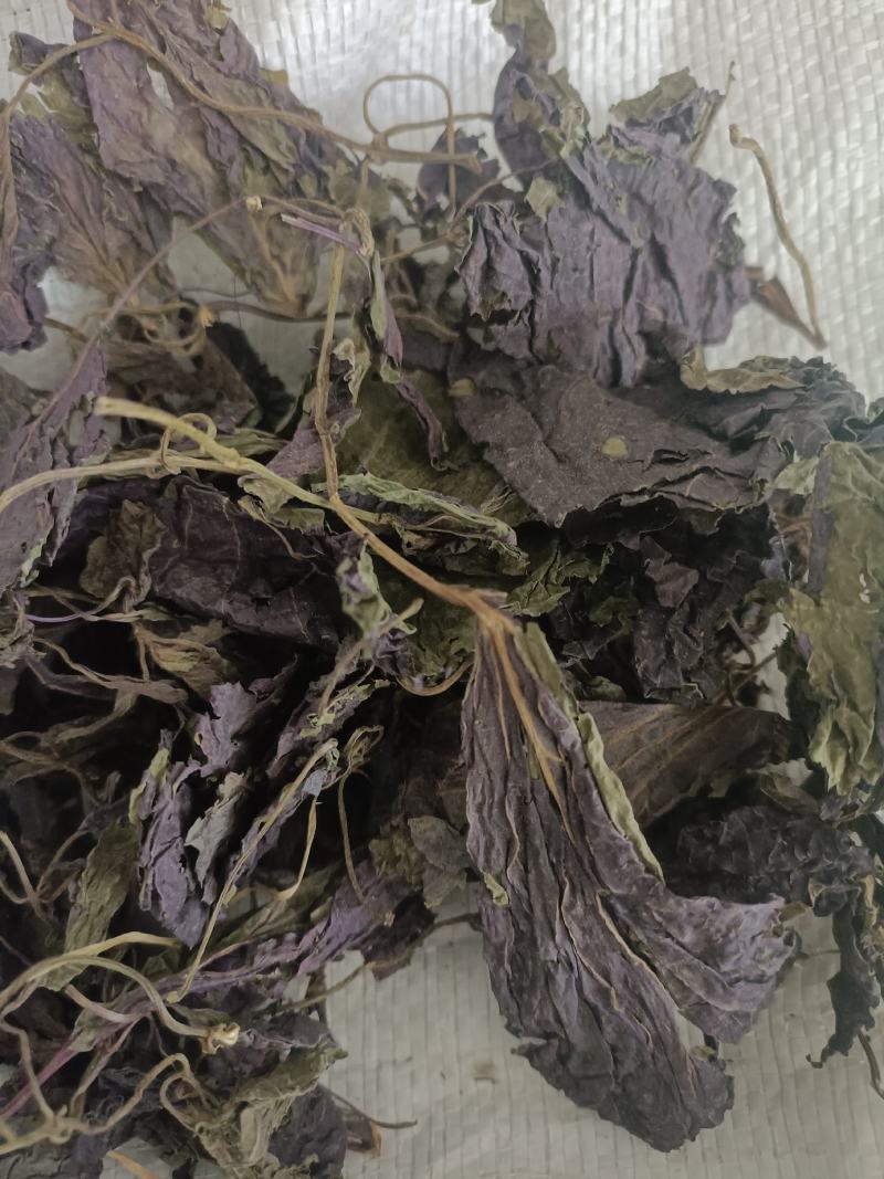 紫苏叶，新货无杆，道地药材，质量保证，支持在线下单