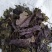 紫苏叶，新货无杆，道地药材，质量保证，支持在线下单