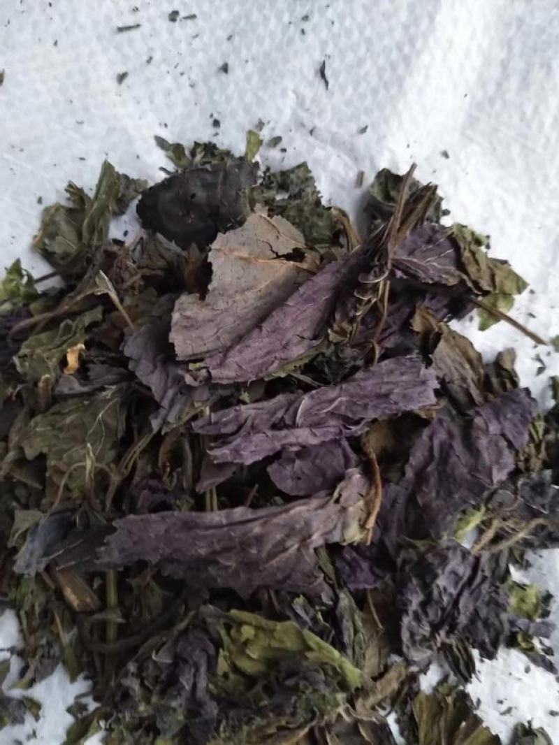 紫苏叶，新货无杆，道地药材，质量保证，支持在线下单