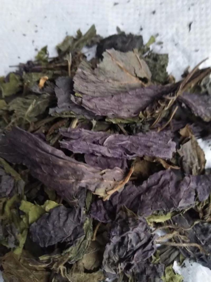 紫苏叶，新货无杆，道地药材，质量保证，支持在线下单