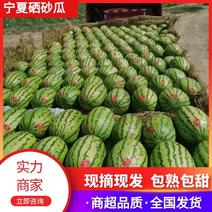 【推荐】新疆西瓜硒砂瓜代办包熟包甜耐运输供应市场商超