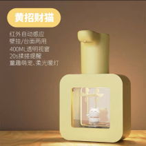 [测试的别拍，拍下不发货]全自动洗手液，伸手即出