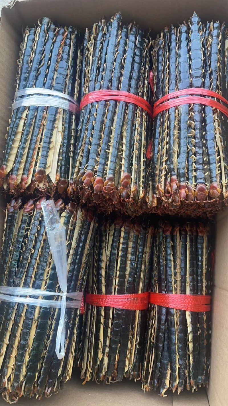 湖北蜈蚣皮，诊所专用性价比高规格齐全欢迎来电