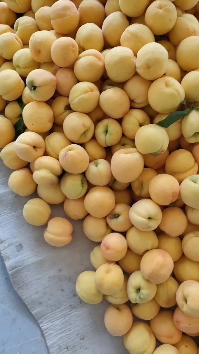 黄桃，商品黄桃，罐头黄桃，一手货源，保质保量，诚信合作
