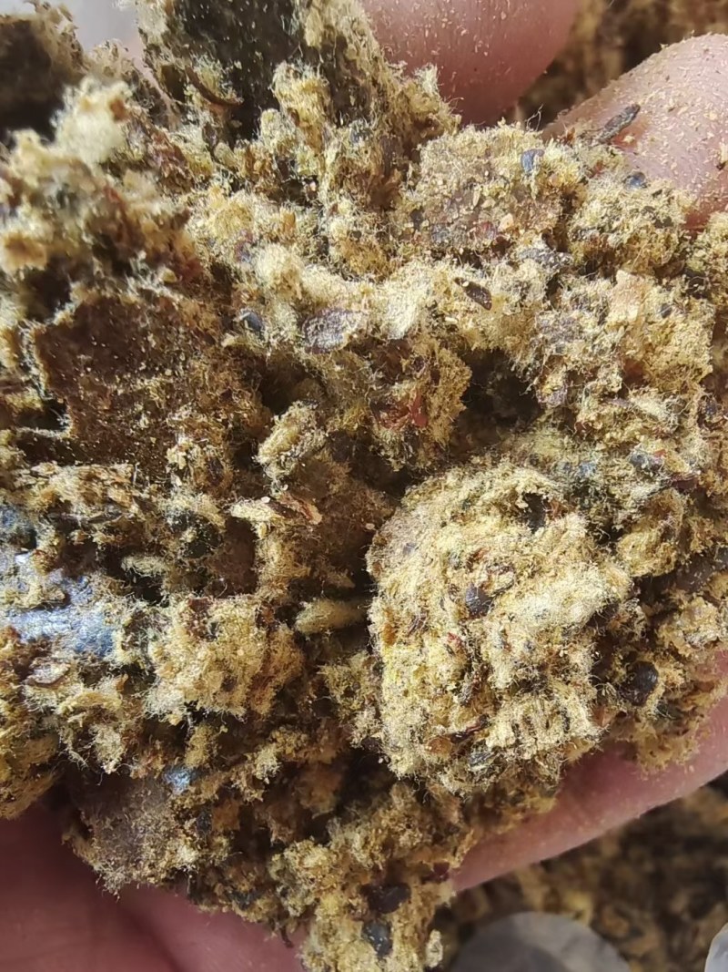 棉饼