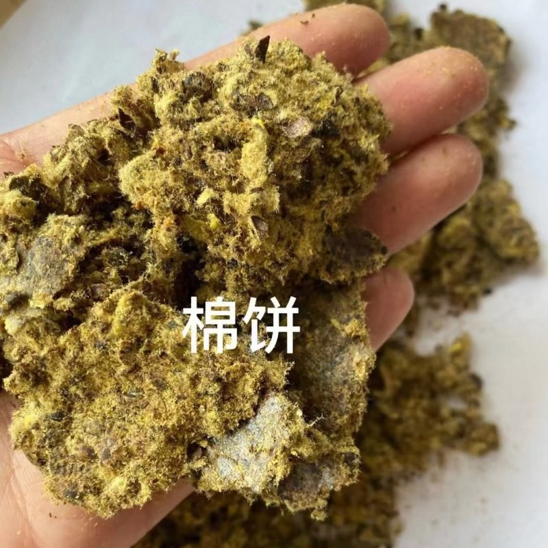 棉饼