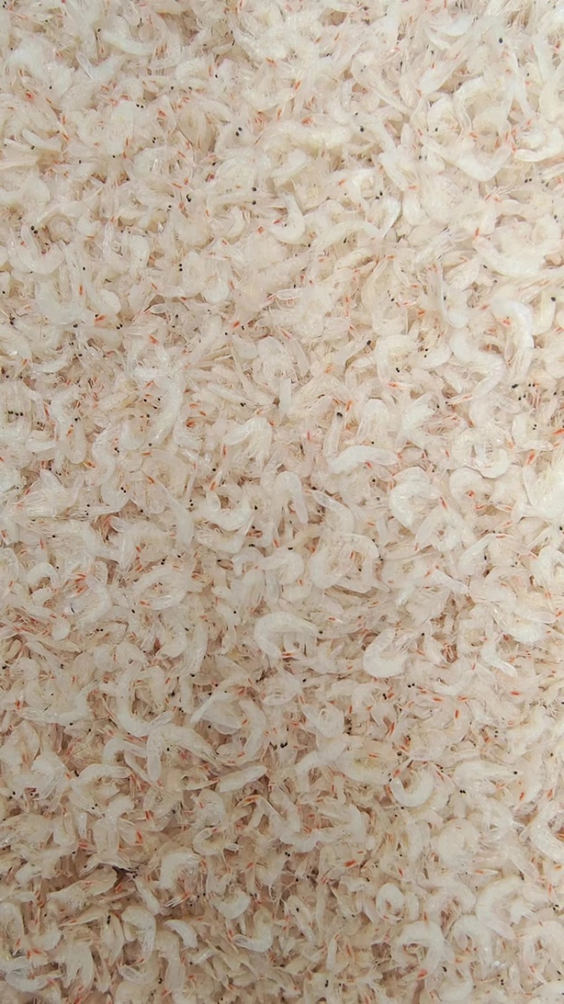 微盐虾皮，精品