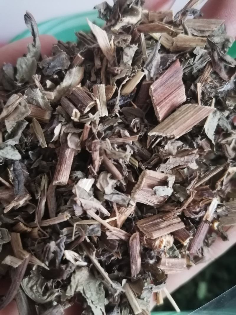 败酱草北败酱草无硫草药败酱草黄花败将北败酱中草药新鲜晒干