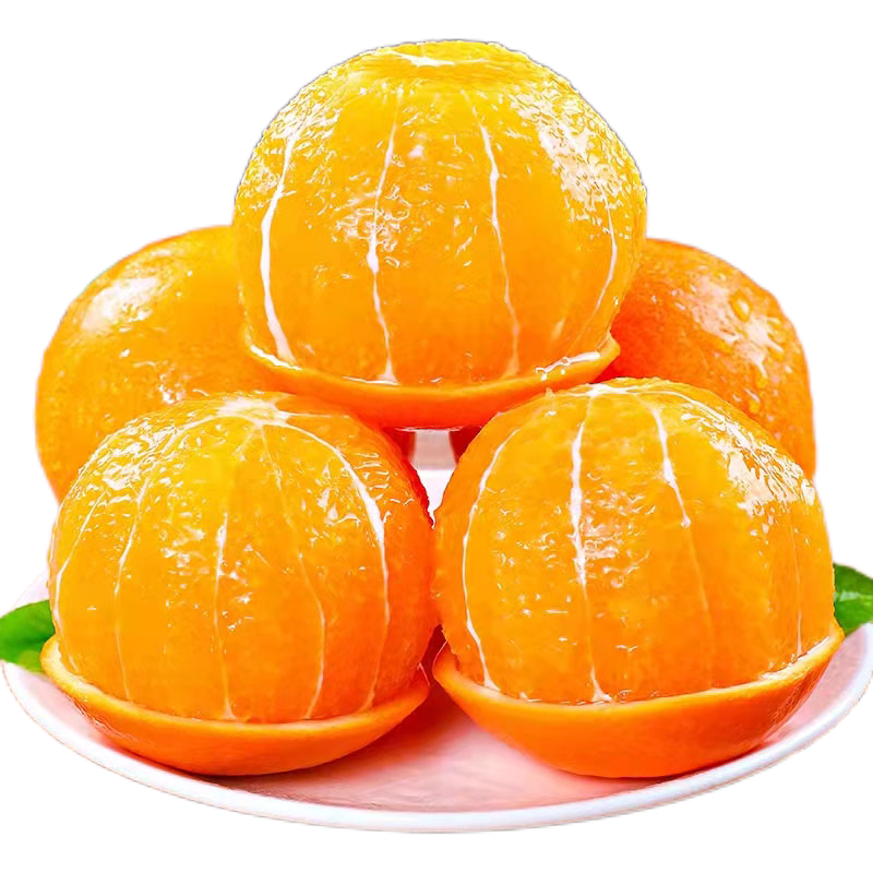 秭归伦晚脐橙自然成熟新鲜采摘欢迎咨询看货