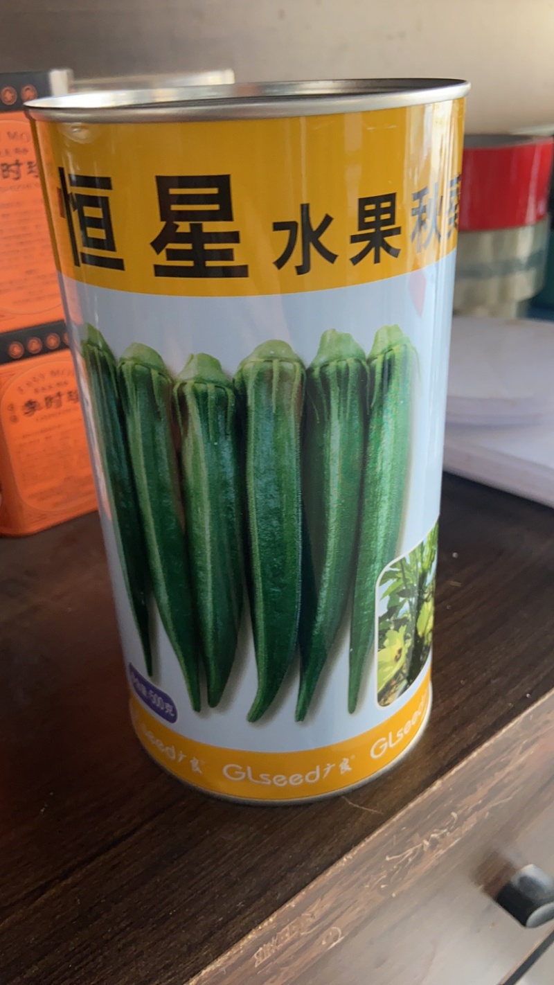 黄秋葵苗