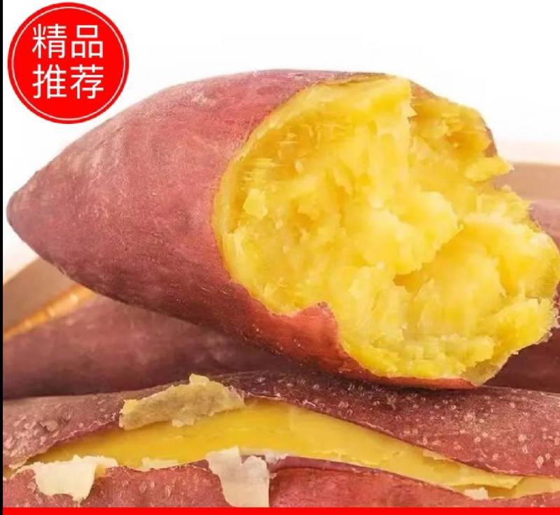 济薯26板栗薯香甜大量供应提供打包发货