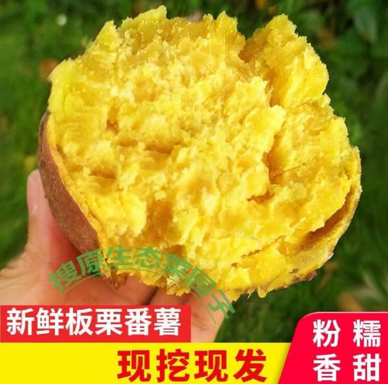 济薯26板栗薯香甜大量供应提供打包发货