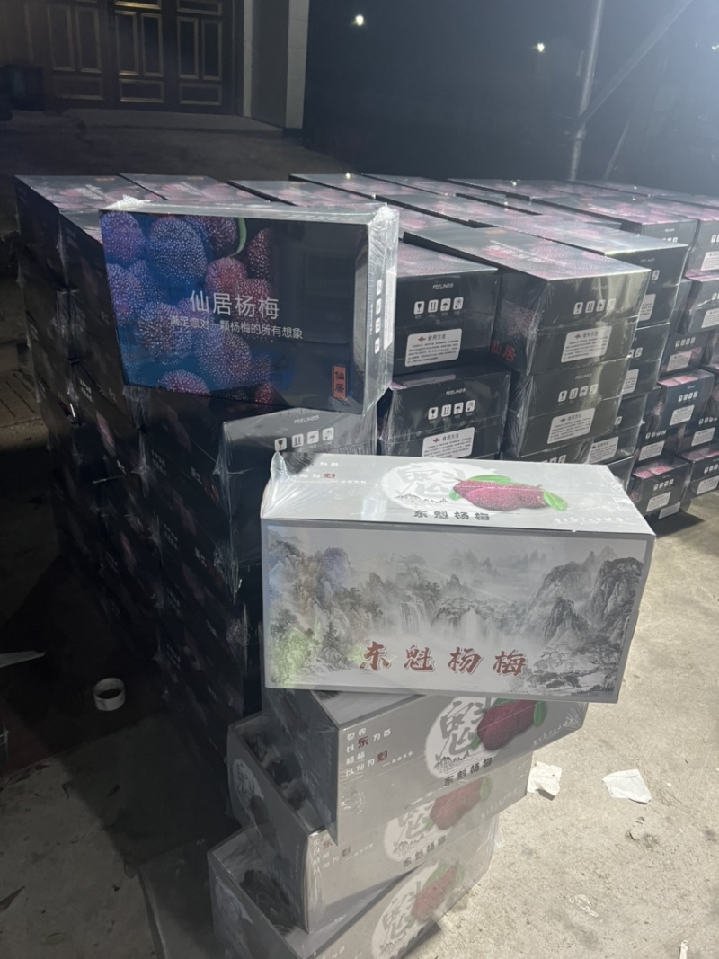 仙居杨梅大批量上市可对接商超、批发、团购、电商、微商。