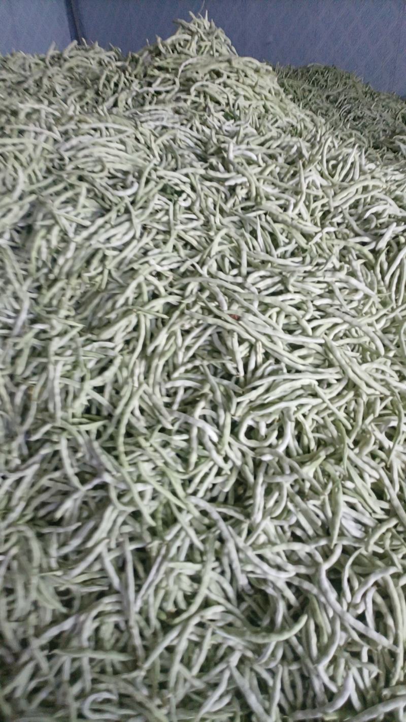 辽宁绥中白不老豆角大量有货。产地一手货源