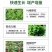 液体氮肥缓释氮肥小麦玉米蔬菜叶面肥高氮替代尿素免追肥缓释