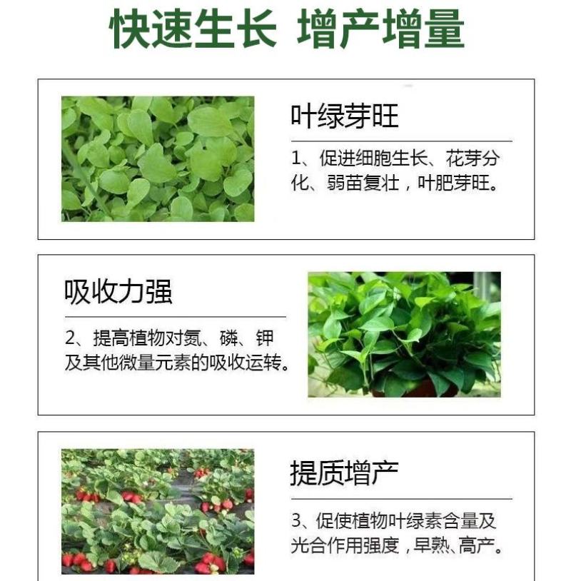 液体氮肥缓释氮肥小麦玉米蔬菜叶面肥高氮替代尿素免追肥缓释