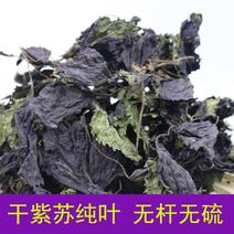 【干紫苏叶】紫苏叶干货茶泡茶新鲜野生香料中药材食用紫苏